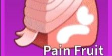 pain fruit blox fruit