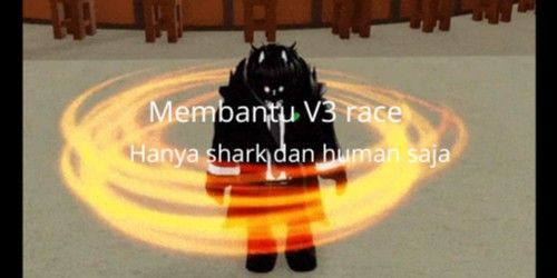 help race v3