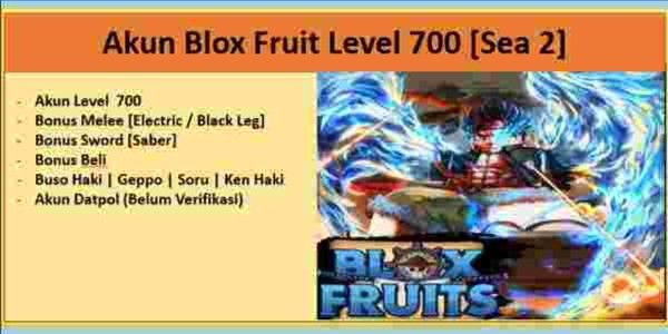 Blox Fruit Account Level 700 [No Email Verification] Safe from the word Hackback