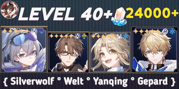 Silverwolf Welt Gepard Yanqing account