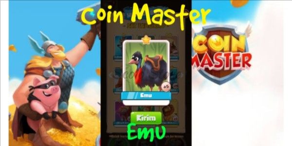 Emu (Wild Animal)