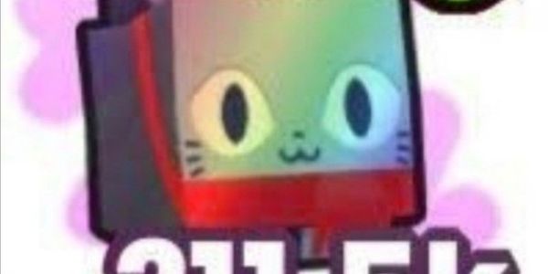 Jolly Cat