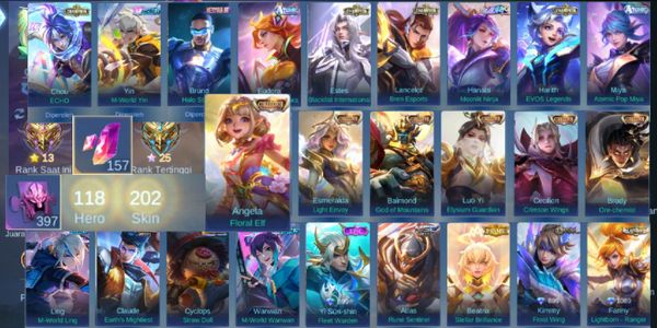 Sultan 6 Collector Account