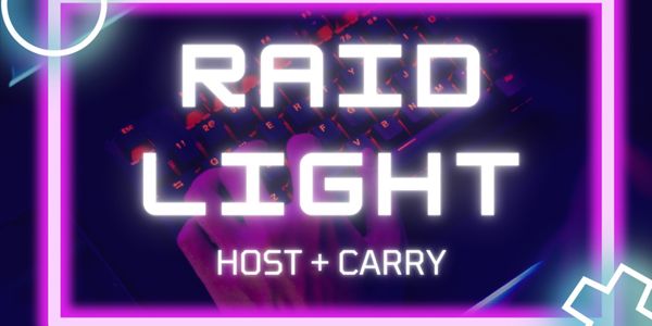 RAID LIGHT