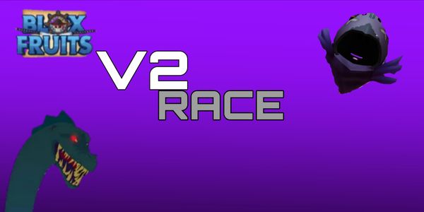 Jasa Race V2