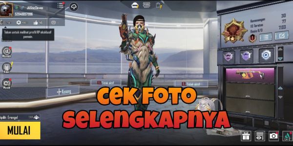 PUBG Mobile account with coins level 29