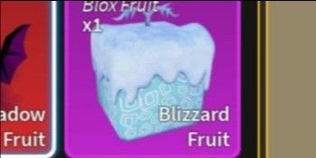 Blizzard (Nature)