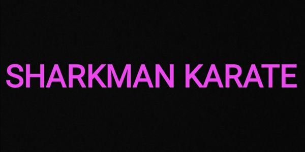 Fighting Style - Sharkman Karate