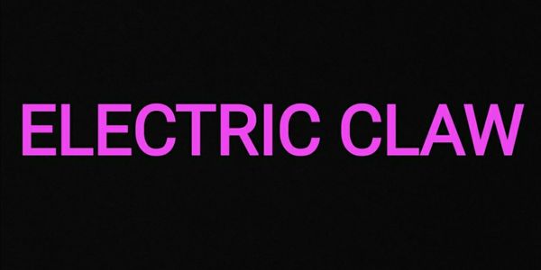 Fighting Style - Electric Claw