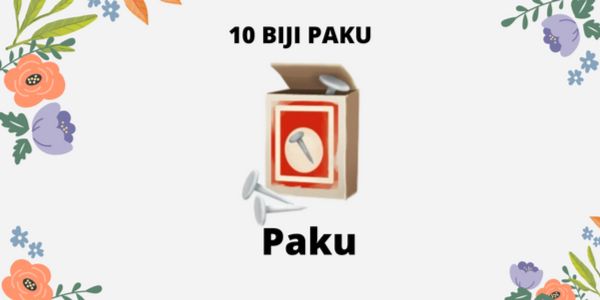 [MURAH] 10 BIJI PAKU