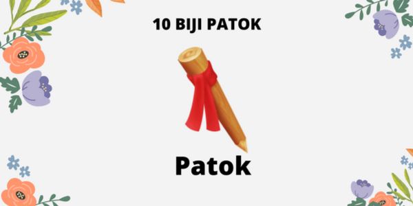 [MURAH] 10 BIJI PATOK