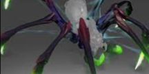 Limbs of Lycosidae (Immortal Broodmother)