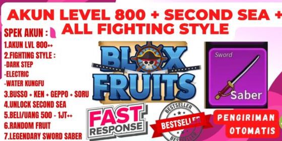 BLOX FRUIT ACCOUNT LEVEL 800 + SECOND SEA + BONUS