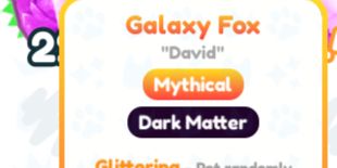Galaxy Fox | Pet Simulator X | Pets DARK MATTER!