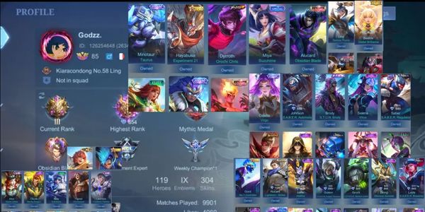 MANY SKIN PRIVATE ML ACCOUNTS