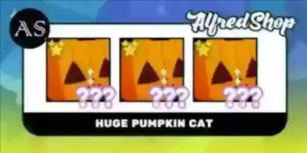 Huge Pumpkin Cat