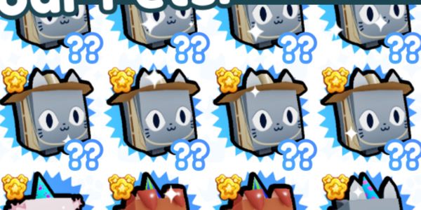 Safari Cat Pet Simulator