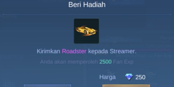 Roadster (gift for streamers)