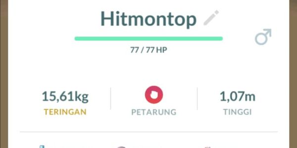 Hitmontop shiny