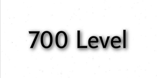 700 Levels Blox Fruit