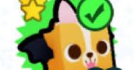 Scary Corgi