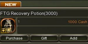 FTG POTION 3000