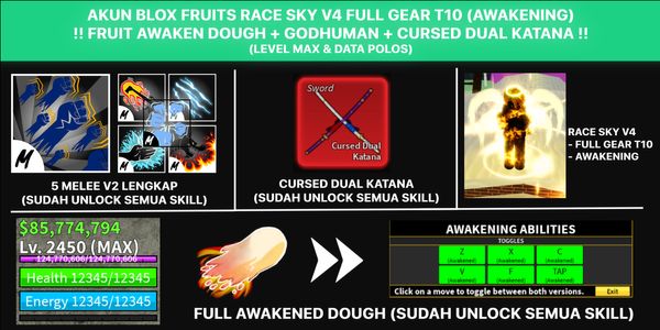 Blox Fruit Race Sky V4 Account Full Gear T10 (Awakening) + Awakening Dough + Cursed Dual Katana + Godhuman (MAX Level)