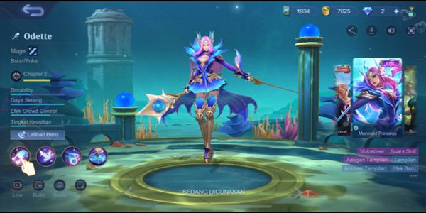 ML ACCOUNT PROFILE GANS MURMER