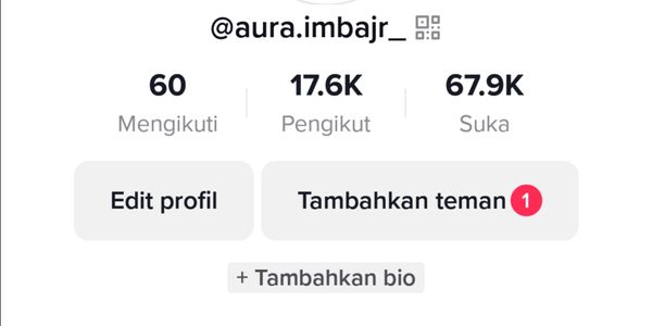 The TikTok Followers account has 17,000 real followers, not an injection