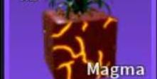 Magma Fruit
