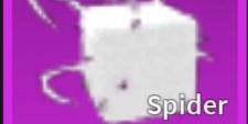 Spider Fruit