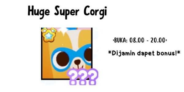 Huge Super Corgi