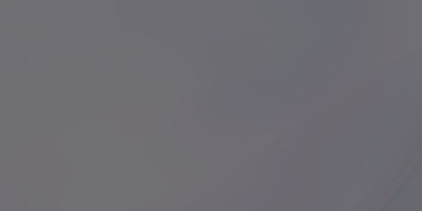 Shield - Skyblock