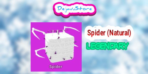 Spider (Natural)