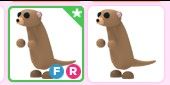 Meerkat FR pet adopt me