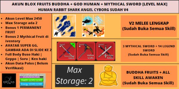 Blox Fruits All Race V4 Account [Level MAX][Melee+Fruit+Sword All Skills Unlock] SUPER GG