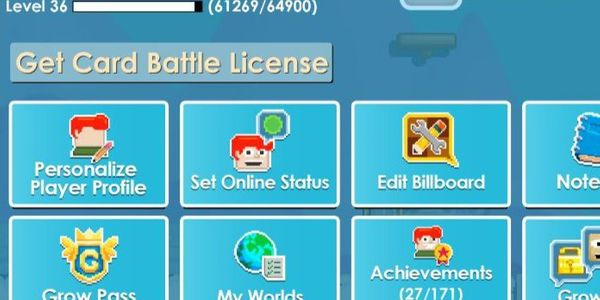 level 37 supporter account