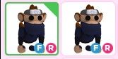 Ninja Monkey FR pet adopt me