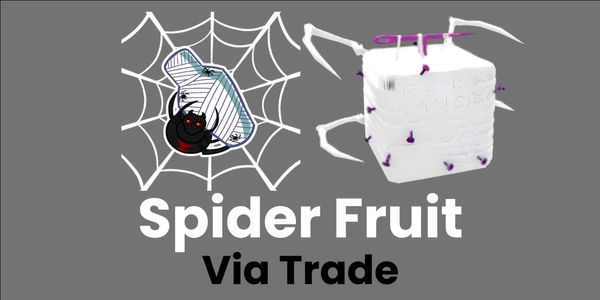 Spider (Natural)