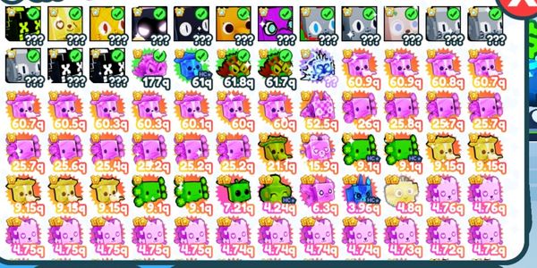 Huge Pet Package