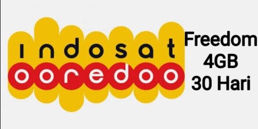 Freedom 4 GB 30 Hari