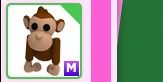 Monkey M pet adopt me
