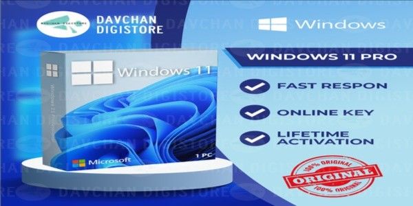 Windows 11 Pro