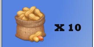 Nuts / Peanuts 10pcs