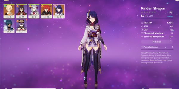 Beli Akun Starter Raiden Shogun + Diluc [Email Only] Asia Genshin ...