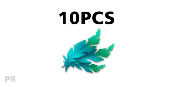 10x Duck feathers