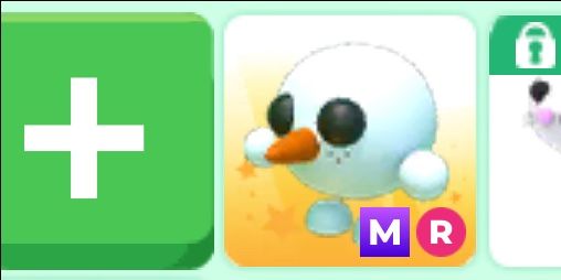 Mega ride snowball pet