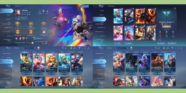 Mobile Legends account #1