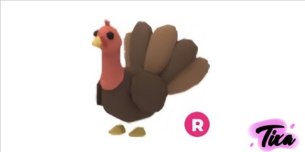 Turkey R - Adopt Me