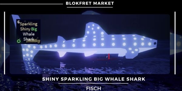 Shiny Sparkling Big Whale Shark (16.8k kgs)